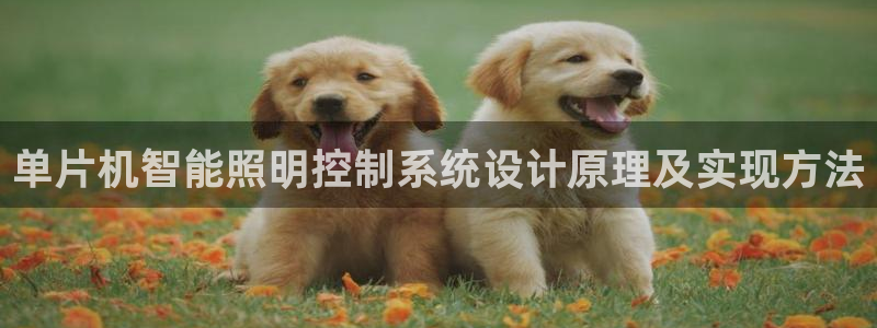 千亿国际平台是什么平台:单片机智能照明控制系统设计原理及实现方法