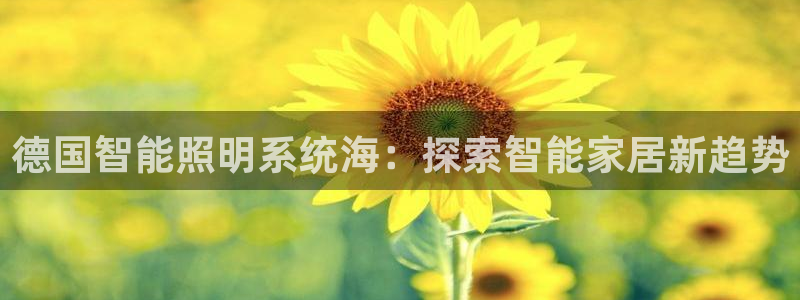 千亿国际是做什么的呢：德国智能照明系统海：探索智能家居新趋势