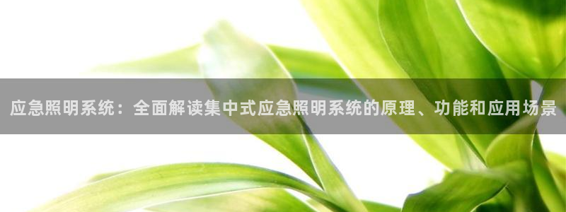 千亿国际的官网:应急照明系统:全面解读集中式应急照明系统的原理、功能和应用场景