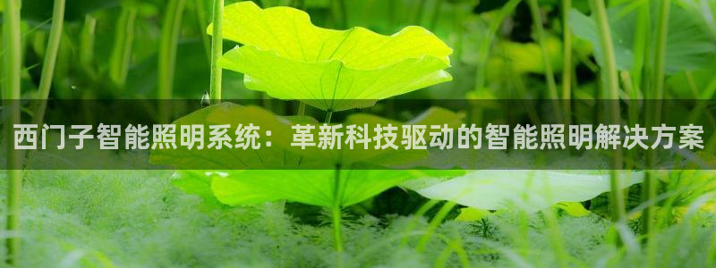 千亿国际唯一官方网站-4.23 Inurl:yjjzxh：西门子智能照明系统：革新科技驱动的智能照明解决方案