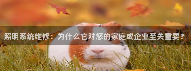 千亿国际游戏登录平台：照明系统维修：为什么它对您的家庭或企业至关重要？