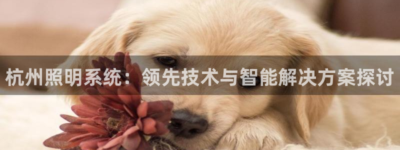 千亿国际真人：杭州照明系统：领先技术与智能解决方案探讨