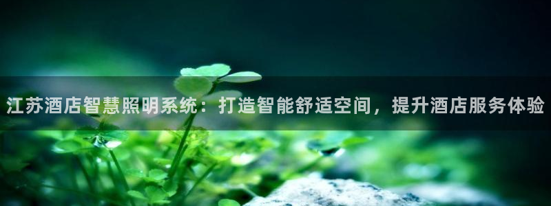 千亿国际是做什么的公司：江苏酒店智慧照明系统：打造智能舒适空间，提升酒店服务体验