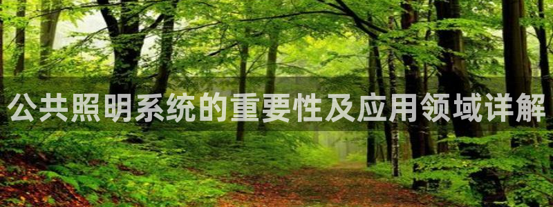 千亿国际网页版:公共照明系统的重要性及应用领域详解