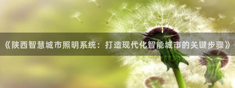 千亿国际集团招聘：《陕西智慧城市照明系统：打造现代化智能城市的关键步骤》