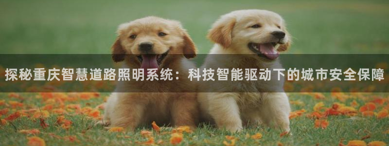 千亿国际手机官网app国际:探秘重庆智慧道路照明系统:科技智能驱动下的城市安全保障