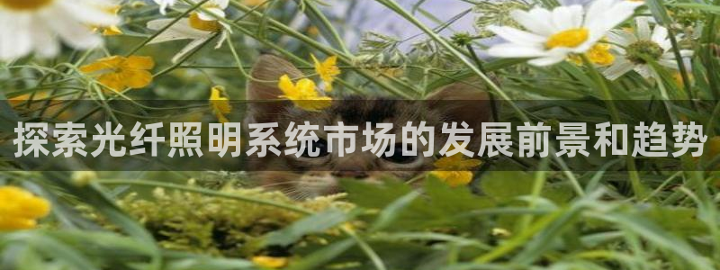 千亿国际官方网站入口在线观看：探索光纤照明系统市场的发展前景和趋势