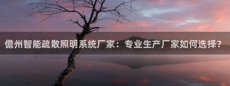 千亿国际2021年1.29更新版pkufli:儋州智能疏散照明系统厂家:专业生产厂家如何选择?