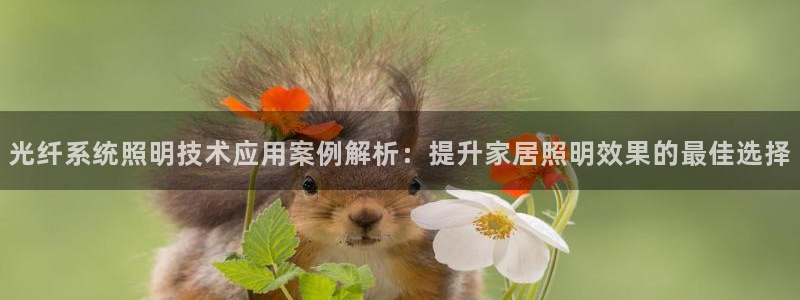 千亿国际平台怎么样可靠吗:光纤系统照明技术应用案例解析:提升家居照明效果的最佳选择