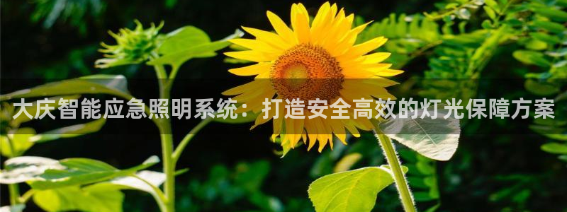 千亿国际手机登录版下载:大庆智能应急照明系统:打造安全高效的灯光保障方案