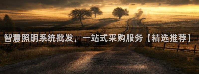 千亿国际手机版唯一官网下载：智慧照明系统批发，一站式采购服务【精选推荐】