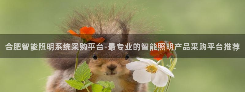 千亿国际官方网站下载:合肥智能照明系统采购平台-最专业的智能照明产品采购平台推荐