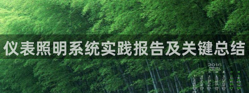 千亿国际在线网页：仪表照明系统实践报告及关键总结