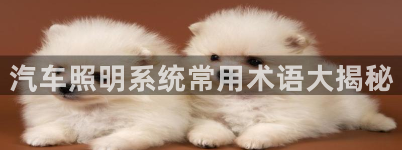千亿国际官方网站：汽车照明系统常用术语大揭秘
