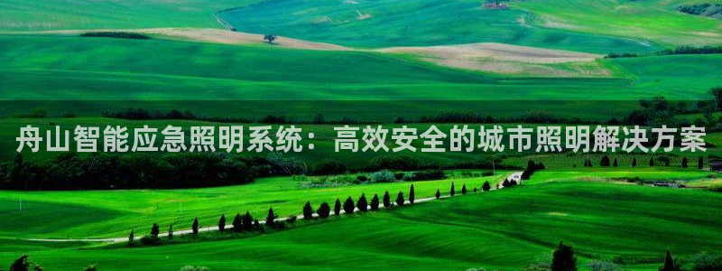 千亿国际2020官方网站pkufli9.201：舟山智能应急照明系统：高效安全的城市照明解决方案