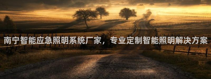 千亿国际平台还存在吗安全吗:南宁智能应急照明系统厂家,专业定制智能照明解决方案