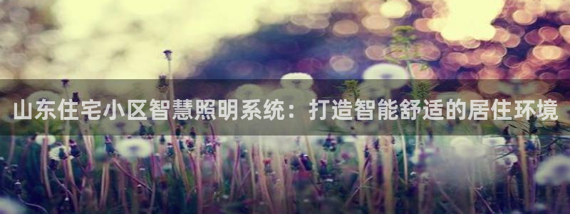 千亿国际游戏:山东住宅小区智慧照明系统:打造智能舒适的居住环境