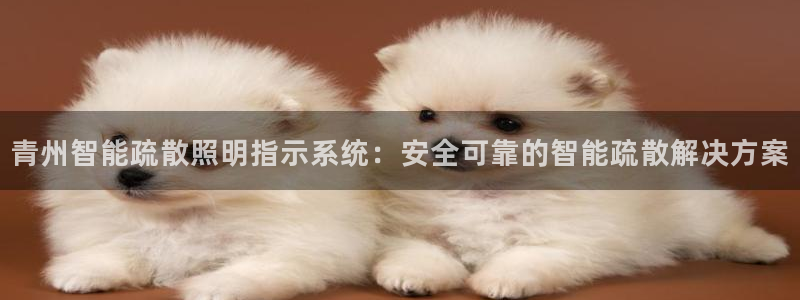 千亿国际平台怎么样知乎:青州智能疏散照明指示系统:安全可靠的智能疏散解决方案
