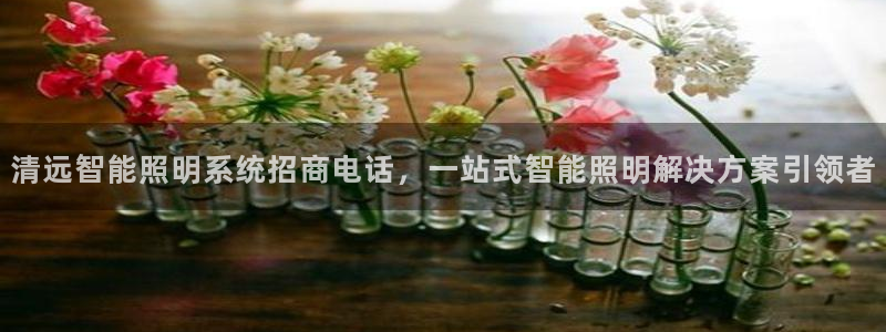 qy98千亿国际玩不了了