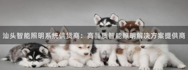 千亿国际怎么下载啊
