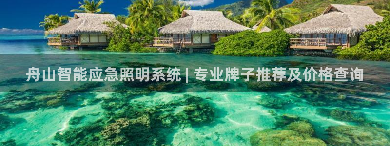 千亿国际芯片上市公司