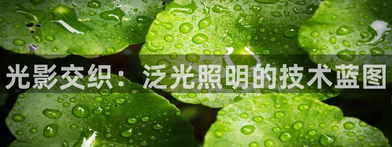 千亿国际手机登录网