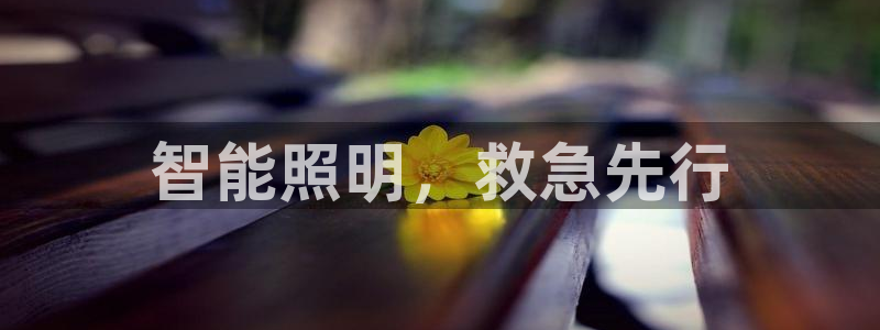 千亿国际是什么平台公司