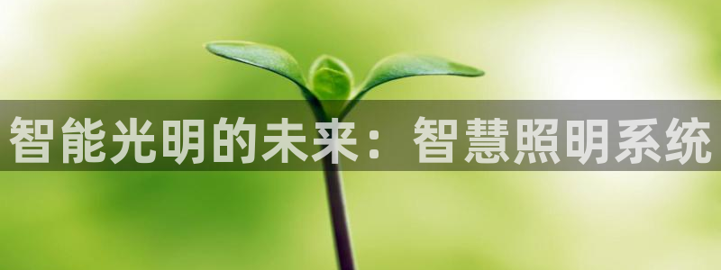 千亿国际车载冰箱