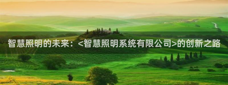 千亿国际芯片