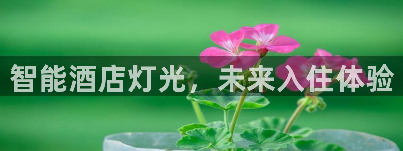 千亿国际诈骗