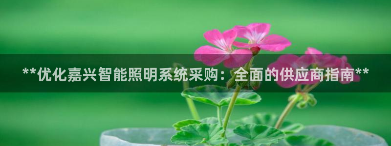 千亿国际平台免登录版