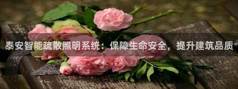 千亿国际pt