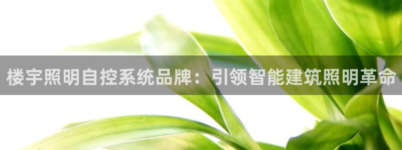 千亿国际平台是什么平台
