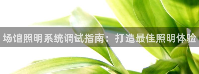 千亿国际q y 996