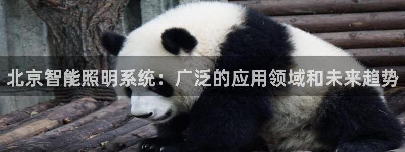 千亿国际欧阳文浩