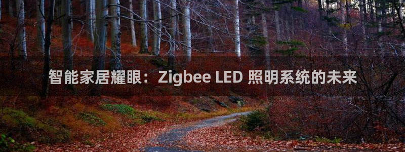 千亿国际跟盛辉是一家的吗