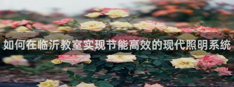 千亿国际董事长是谁