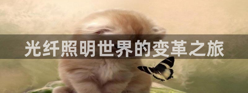 千亿国际官方网站入口在线观看：光纤照明世界的变革之旅