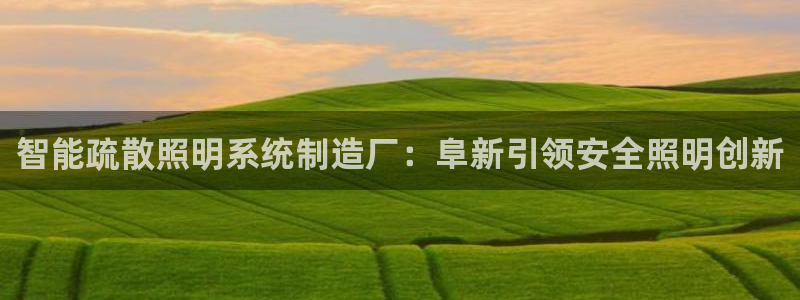千亿国际qy996:智能疏散照明系统制造厂:阜新引领安全照明创新