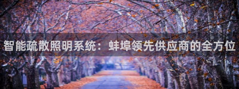 千亿国际pt游戏官网:智能疏散照明系统:蚌埠领先供应商的全方位