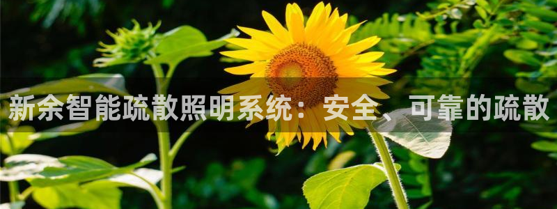 千亿国际唯一官方网站登录：新余智能疏散照明系统：安全、可靠的疏散