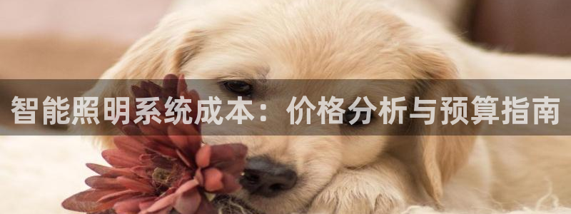 千亿国际芯片：智能照明系统成本：价格分析与预算指南