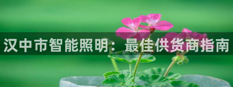 千亿国际手机版唯一官网下载:汉中市智能照明:最佳供货商指南