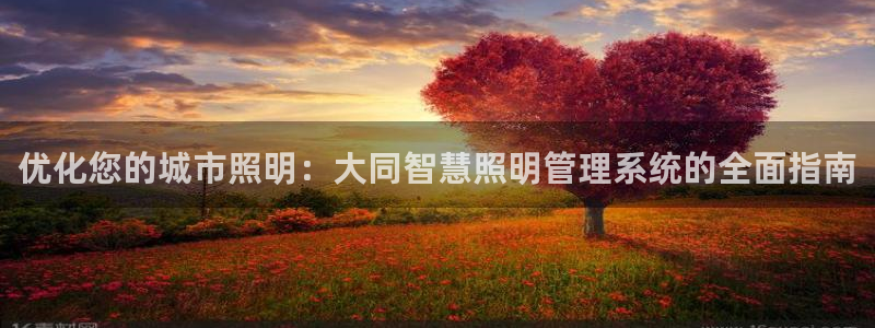 千亿国际唯一官方网站登录:优化您的城市照明:大同智慧照明管理系统的全面指南