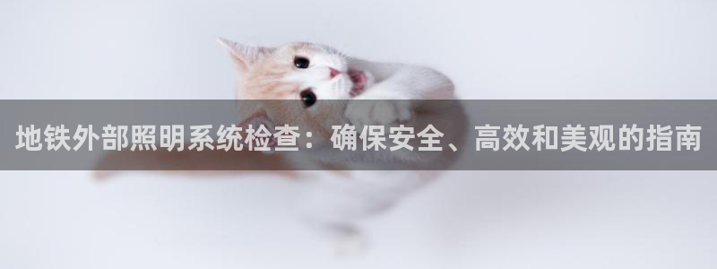 千亿国际手机版下载官网:地铁外部照明系统检查:确保安全、高效和美观的指南