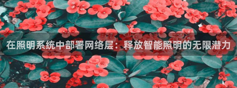 千亿国际平台是什么平台：在照明系统中部署网络层：释放智能照明的无限潜力