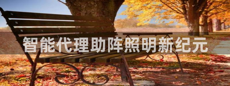 千亿国际跟盛辉是一家的吗：智能代理助阵照明新纪元