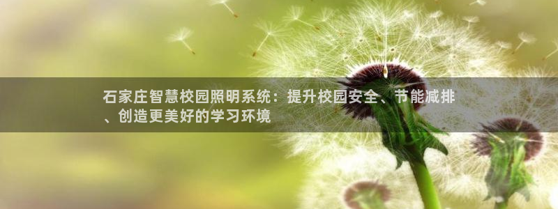 千亿国际唯一官方网站-5.27 InURl:yjjzxh:石家庄智慧校园照明系统:提升校园安全、节能减排
、创造更美好的学习环境