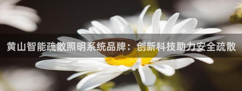 千亿国际下载:黄山智能疏散照明系统品牌:创新科技助力安全疏散