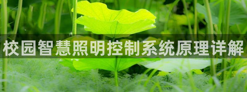 千亿国际跟盛辉是一家的吗知乎:校园智慧照明控制系统原理详解